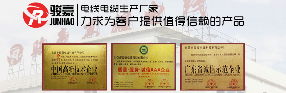 1-1P411113K0431 BBIN宝盈集团电线荣誉证书展示